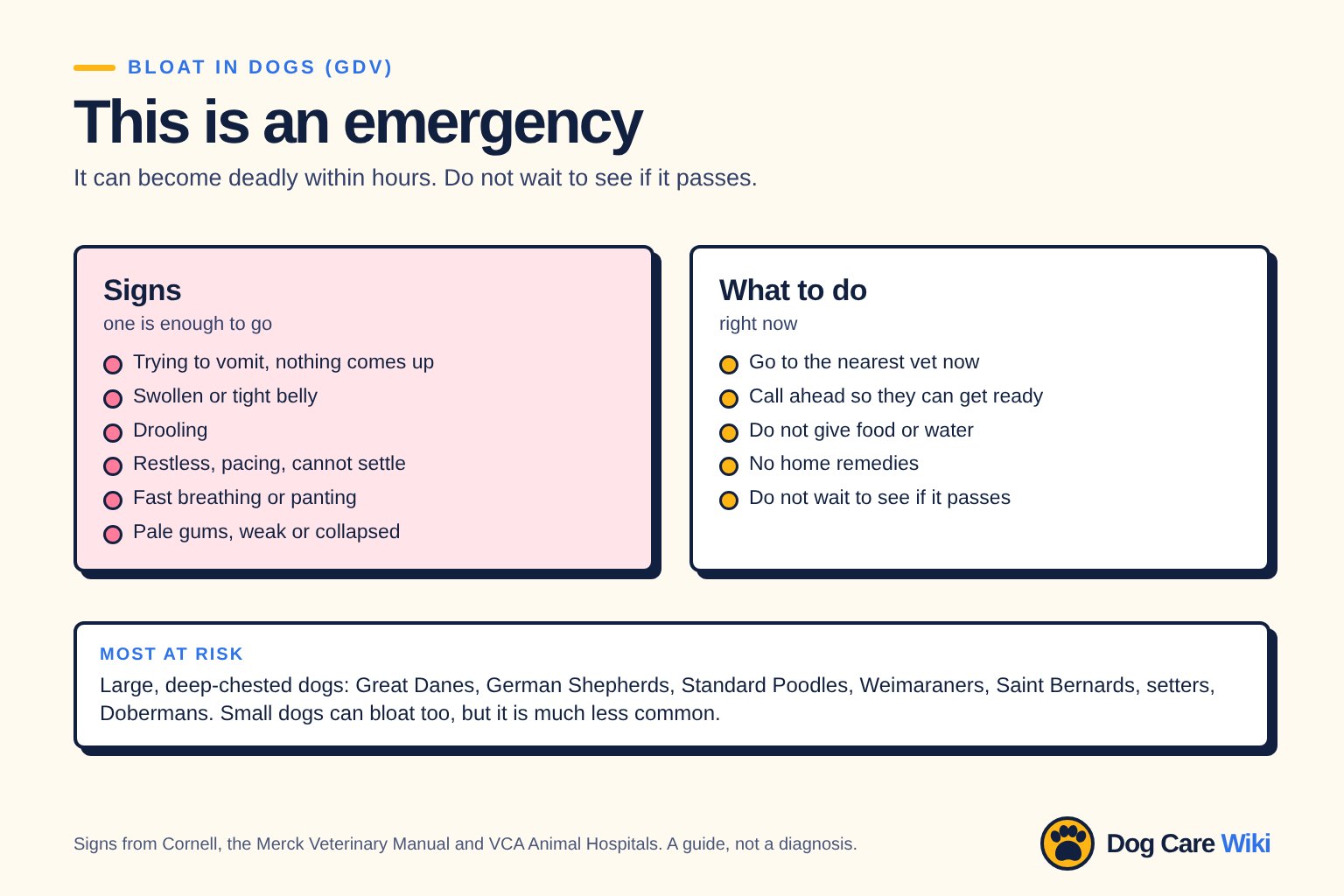 Chart titled Bloat in dogs, an emergency. Signs: trying to vomit but nothing comes up, a swollen or tight belly, drooling, restlessness or pacing, fast breathing or panting, pale gums, weakness or collapse. What to do: go to the nearest vet now, call ahead so they can get ready, do not give food or water, no home remedies, do not wait to see if it passes. Most at risk: large, deep-chested dogs such as Great Danes, German Shepherds, Standard Poodles, Weimaraners, Saint Bernards, setters and Dobermans. Small dogs can bloat too, but it is much less common.