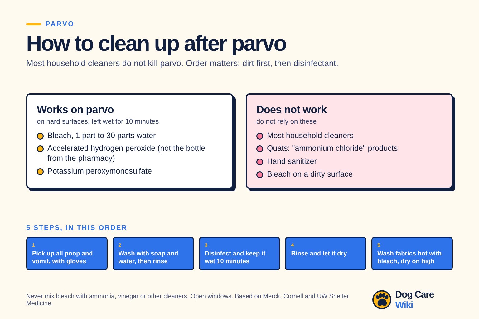 Chart titled How to clean up after parvo. Most household cleaners do not kill parvo; dirt first, then disinfectant. Works on parvo, on hard surfaces left wet for 10 minutes: bleach 1 part to 30 parts water, accelerated hydrogen peroxide (not the bottle from the pharmacy), potassium peroxymonosulfate. Does not work: most household cleaners, quats or ammonium chloride products, hand sanitizer, bleach on a dirty surface. Five steps in order: pick up all poop and vomit with gloves; wash with soap and water then rinse; disinfect and keep it wet 10 minutes; rinse and let it dry; wash fabrics hot with bleach and dry on high. Never mix bleach with ammonia, vinegar or other cleaners. Open windows.