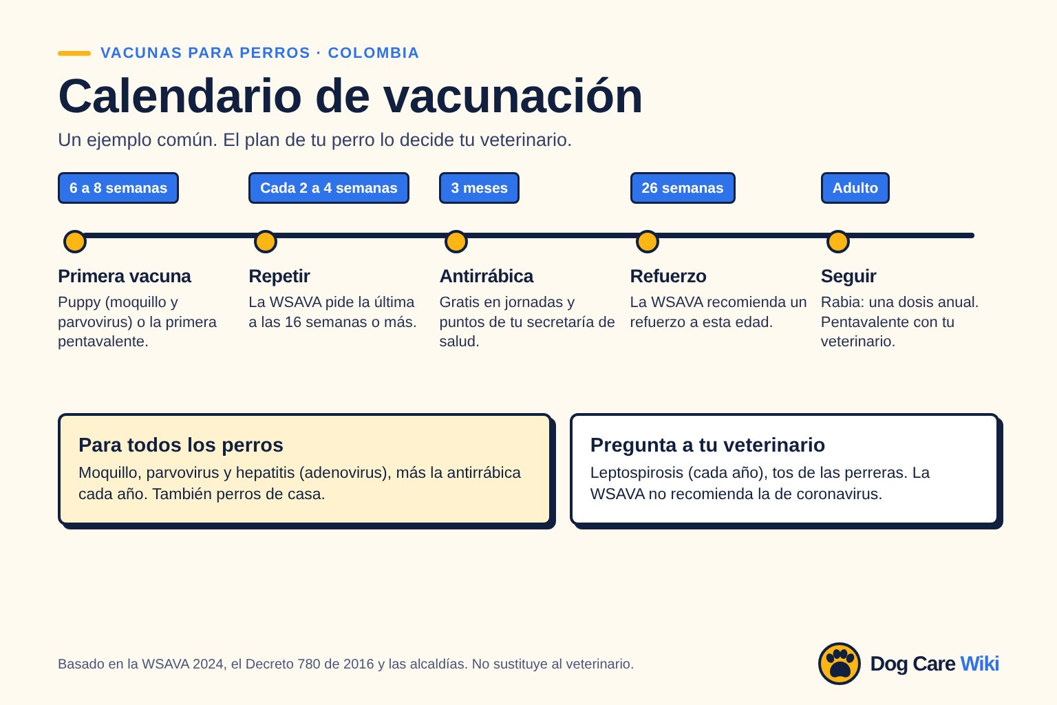 Gráfico Calendario de vacunación, Colombia. 6 a 8 semanas: primera vacuna, Puppy contra moquillo y parvovirus o la primera pentavalente. Cada 2 a 4 semanas: repetir, la WSAVA pide la última a las 16 semanas o más. 3 meses: antirrábica gratis en jornadas y puntos de tu secretaría de salud. 26 semanas: refuerzo recomendado por la WSAVA. Adulto: rabia una dosis anual, pentavalente con tu veterinario.