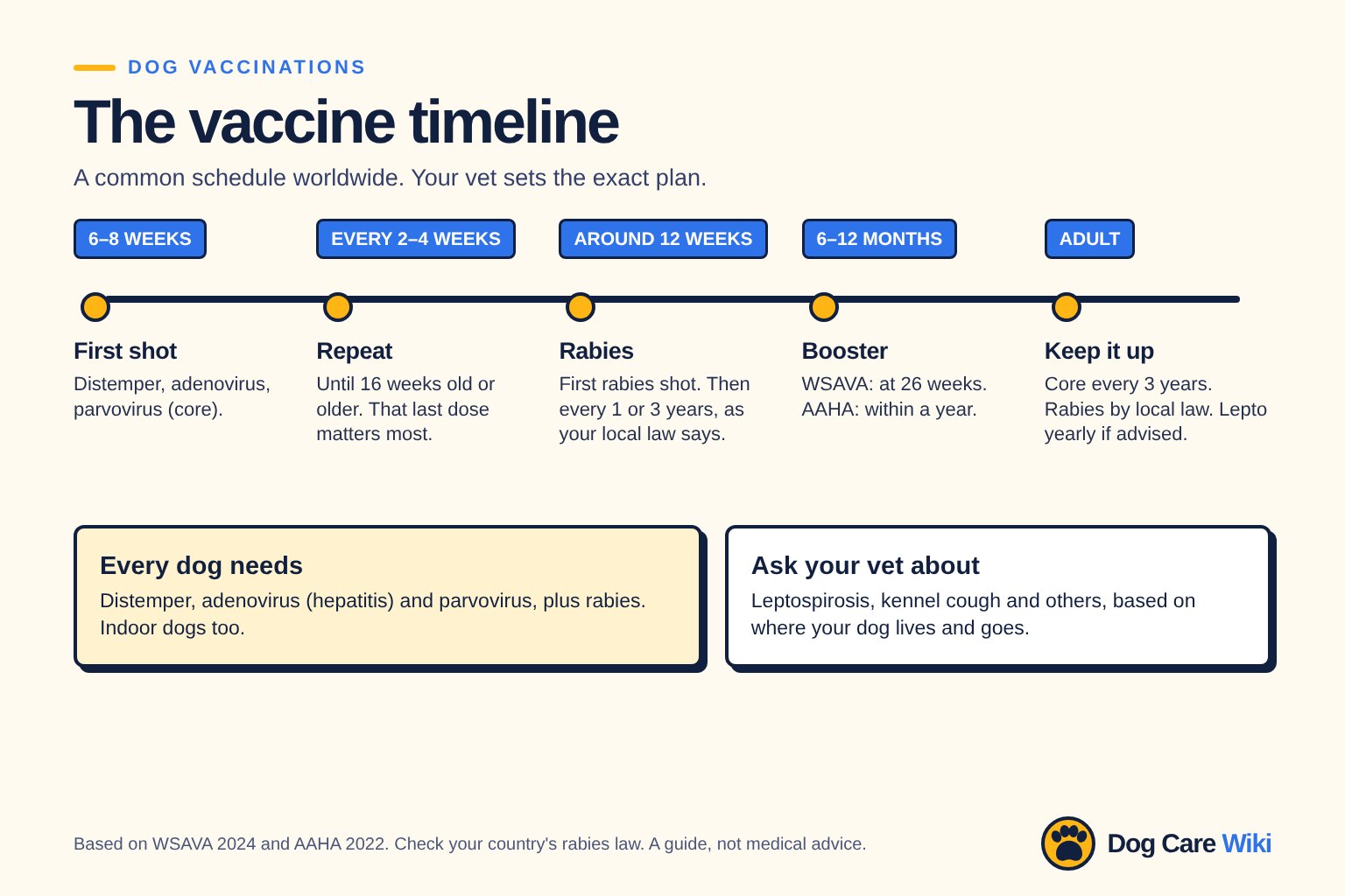Chart titled The vaccine timeline, a common schedule worldwide. 6 to 8 weeks: first shot of distemper, adenovirus and parvovirus. Every 2 to 4 weeks: repeat until 16 weeks old or older. Around 12 weeks: first rabies shot, then every 1 or 3 years as local law says. 6 to 12 months: booster, at 26 weeks per WSAVA or within a year per AAHA. Adult: core every 3 years, rabies by local law, leptospirosis yearly if advised.
