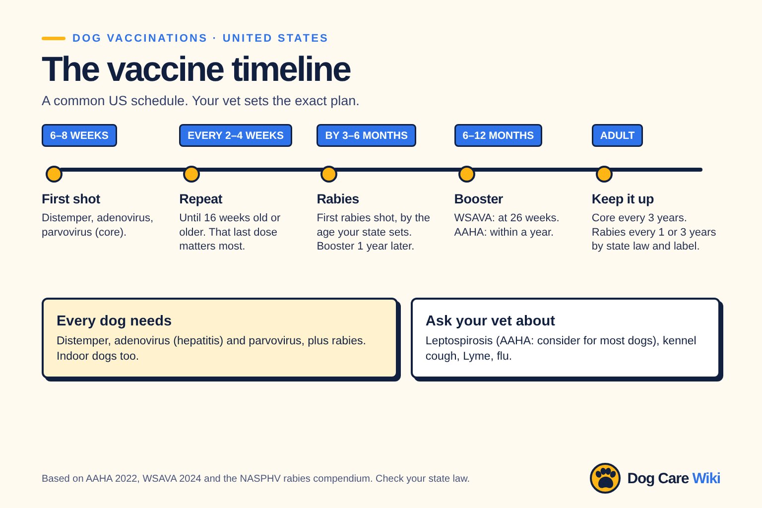 Chart titled The vaccine timeline, a common US schedule. 6 to 8 weeks: first shot of distemper, adenovirus and parvovirus. Every 2 to 4 weeks: repeat until 16 weeks old or older. By 3 to 6 months: first rabies shot, by the age your state sets, booster 1 year later. 6 to 12 months: core booster. Adult: core every 3 years, rabies every 1 or 3 years by state law and vaccine label. Ask your vet about leptospirosis, kennel cough, Lyme and dog flu.