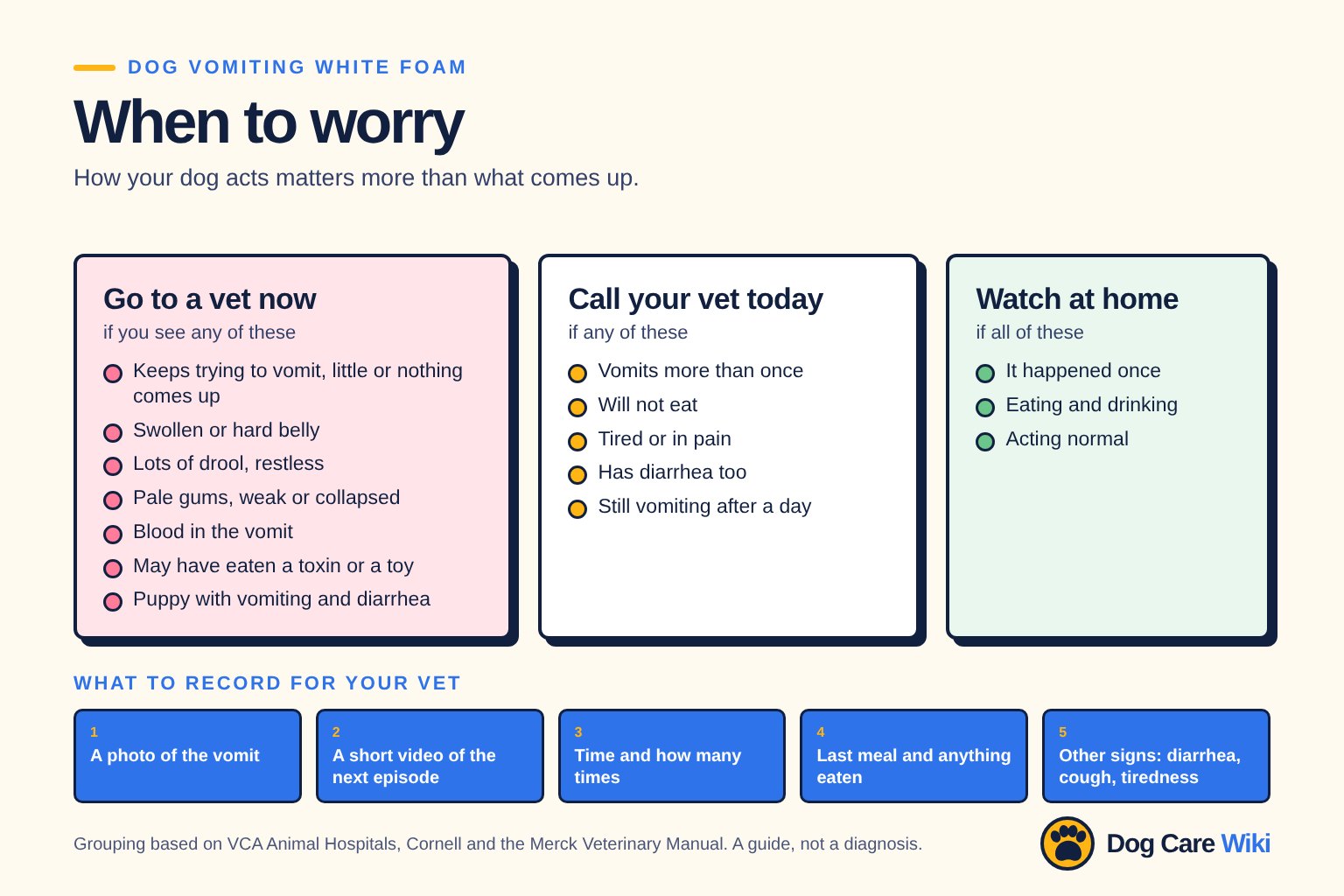 Chart titled Dog vomiting white foam, when to worry. Go to a vet now if your dog keeps retching but brings up little or nothing, has a swollen or hard belly, is drooling a lot or restless, has pale gums, is weak or collapses, has blood in the vomit, may have eaten a toxin or a toy, or is a puppy that is vomiting and has diarrhea. Call your vet today if your dog vomits more than once, will not eat, seems tired or in pain, has diarrhea too, or keeps vomiting for more than a day. You can watch at home if it happened once and your dog is eating, drinking and acting normally. What to record for your vet: a photo of the vomit, a short video of the next episode, the time and how many times, the last meal and anything eaten, and other signs such as diarrhea, cough or tiredness.