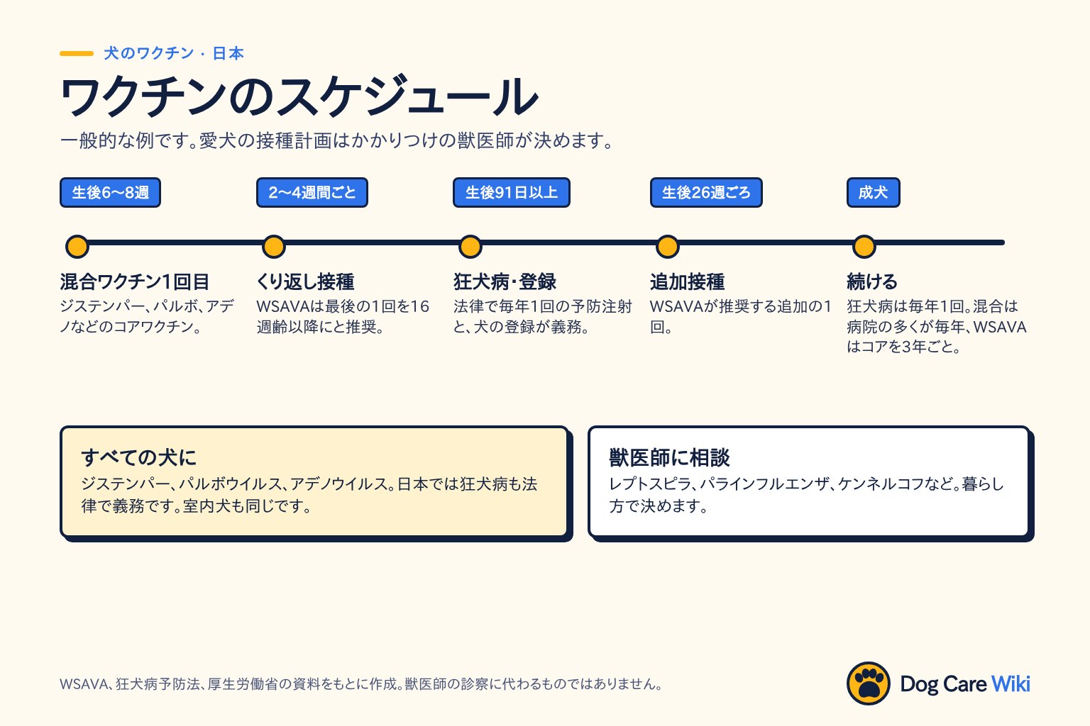 図「ワクチンのスケジュール」日本。生後6〜8週:混合ワクチン1回目、ジステンパー・パルボ・アデノなどのコアワクチン。2〜4週間ごと:くり返し接種、WSAVAは最後の1回を16週齢以降にと推奨。生後91日以上:狂犬病予防注射と犬の登録が法律で義務、毎年1回。生後26週ごろ:WSAVAが推奨する追加接種。成犬:狂犬病は毎年1回、混合ワクチンは多くの病院が毎年、WSAVAはコアを3年ごと。