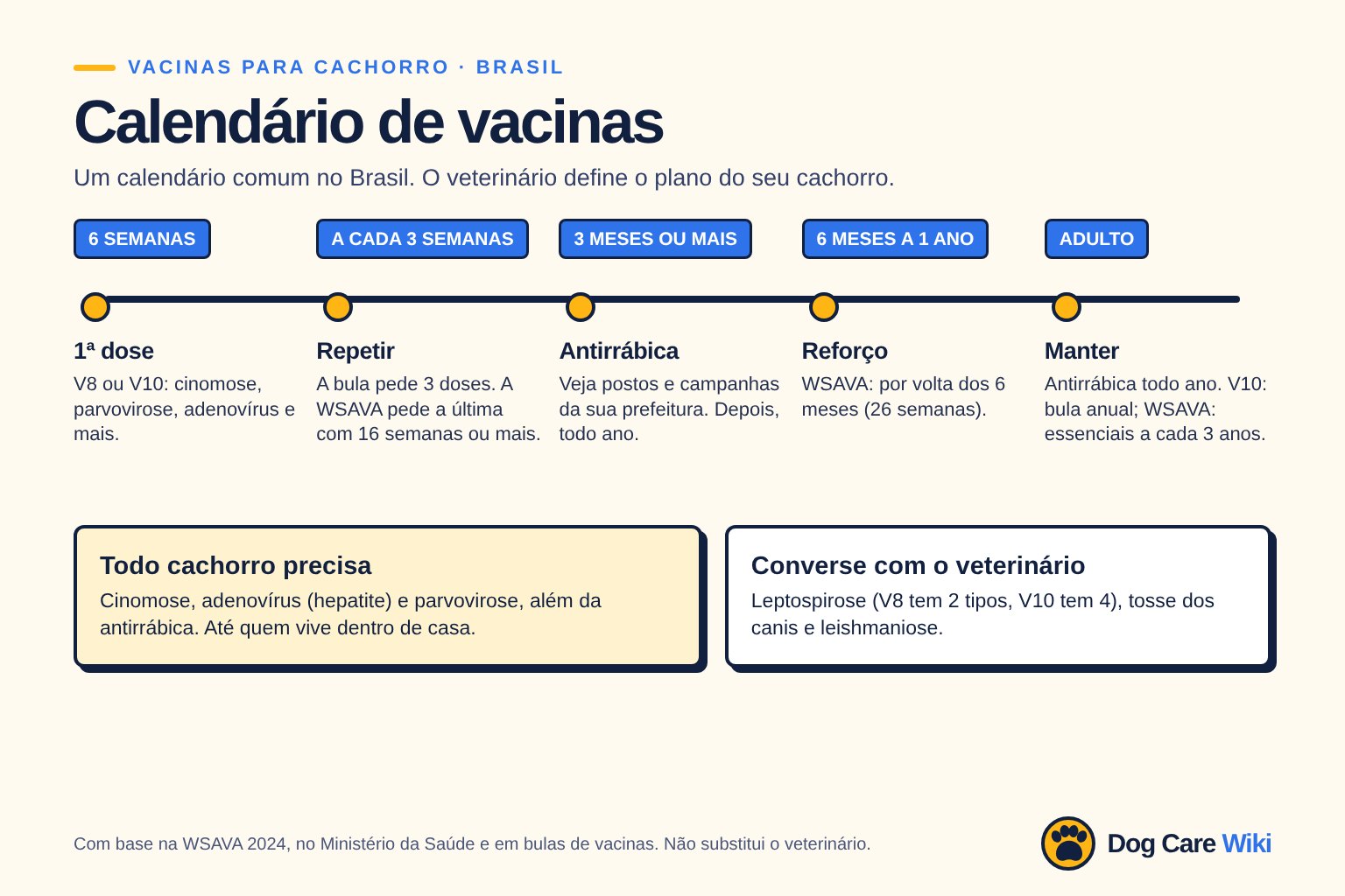 Gráfico Calendário de vacinas, Brasil. 6 semanas: primeira dose da V8 ou V10. A cada 3 semanas: repetir; a bula pede 3 doses e a WSAVA pede a última com 16 semanas ou mais. 3 meses ou mais: antirrábica, veja postos e campanhas da prefeitura, depois todo ano. 6 meses a 1 ano: reforço, segundo a WSAVA por volta das 26 semanas. Adulto: antirrábica todo ano; V10 anual pela bula, essenciais a cada 3 anos pela WSAVA.