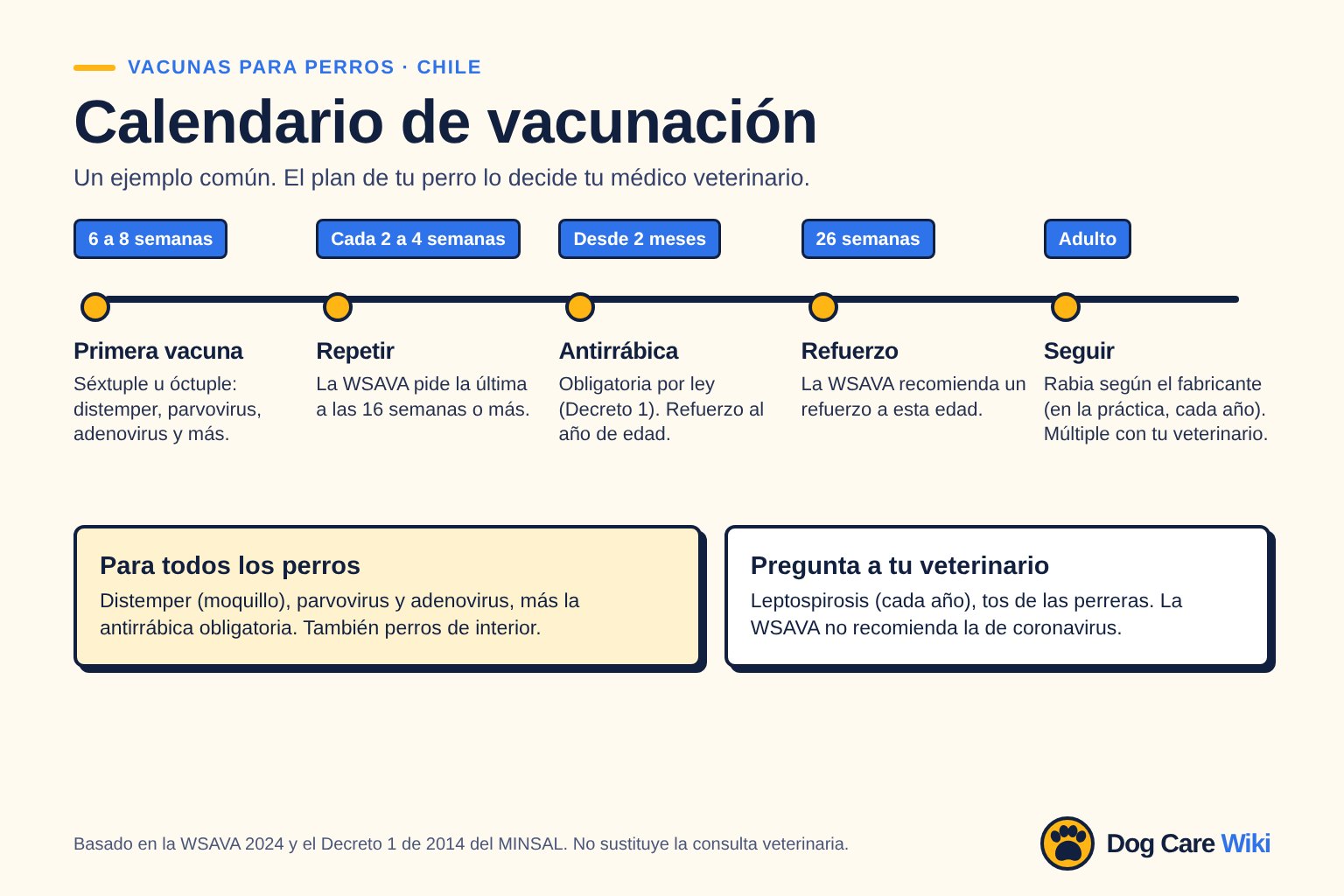 Gráfico Calendario de vacunación, Chile. 6 a 8 semanas: primera vacuna, séxtuple u óctuple con distemper, parvovirus, adenovirus y más. Cada 2 a 4 semanas: repetir, la WSAVA pide la última a las 16 semanas o más. Desde 2 meses: antirrábica obligatoria por el Decreto 1, refuerzo al año de edad. 26 semanas: refuerzo recomendado por la WSAVA. Adulto: rabia según el fabricante, en la práctica cada año; la múltiple con tu veterinario.