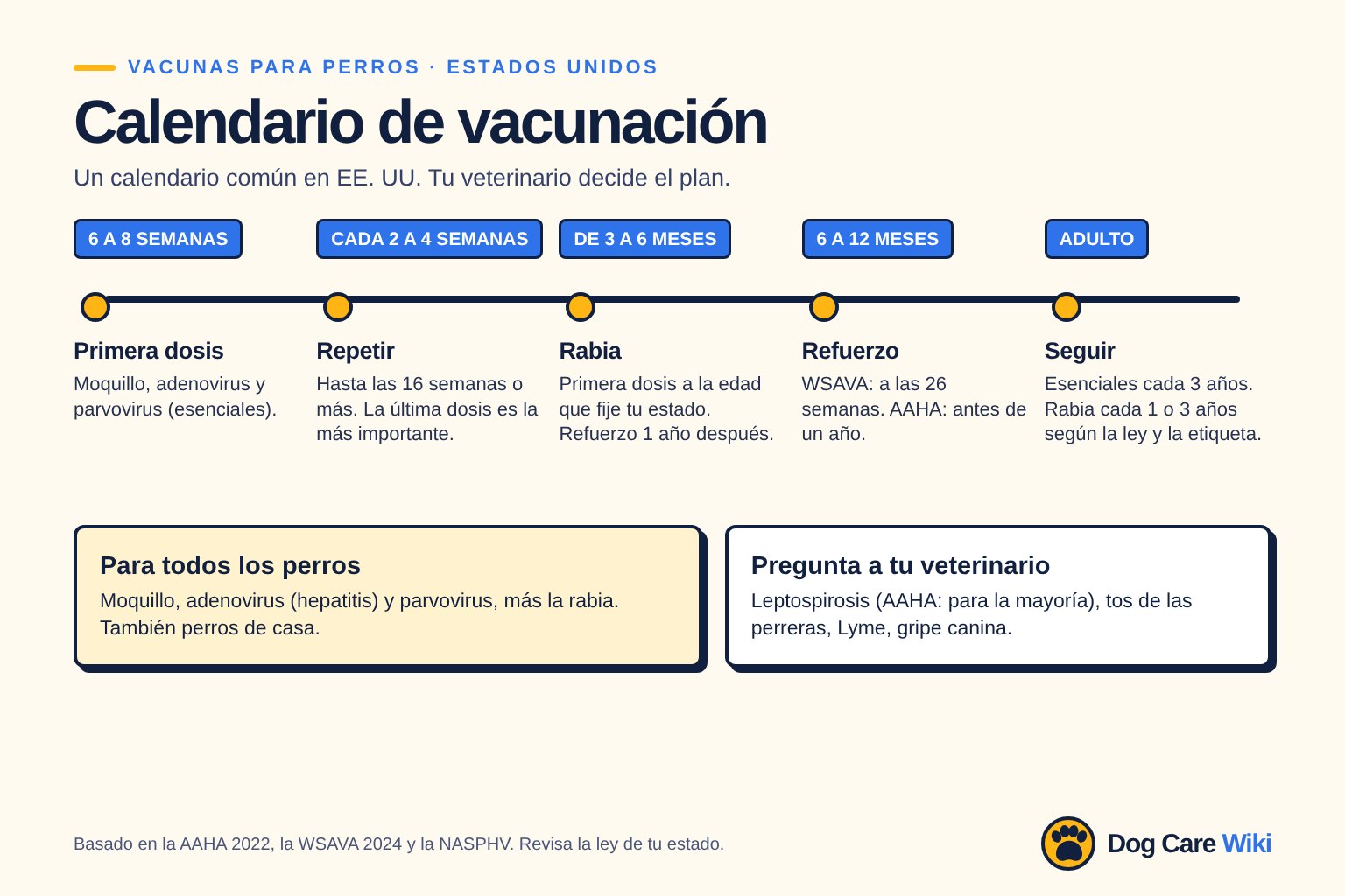 Gráfico Calendario de vacunación, un calendario común en EE. UU. 6 a 8 semanas: primera dosis de moquillo, adenovirus y parvovirus. Cada 2 a 4 semanas: repetir hasta las 16 semanas o más. De 3 a 6 meses: primera vacuna de rabia, a la edad que fije tu estado, refuerzo 1 año después. 6 a 12 meses: refuerzo, a las 26 semanas según la WSAVA o antes de un año según la AAHA. Adulto: esenciales cada 3 años, rabia cada 1 o 3 años según la ley del estado y la etiqueta.